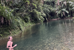 East Coast Australia Family Friendly Road Trip, Part 3: Cairns To Daintree Rainforest